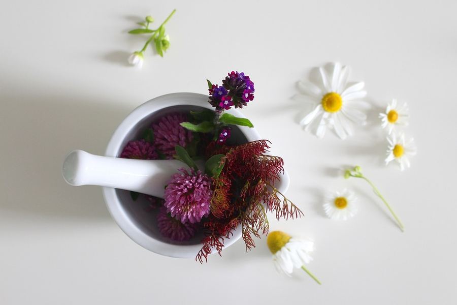 medicinal-flower-4246073_960_720